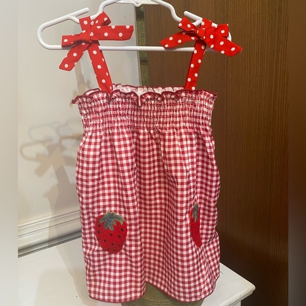 New Gingham Strawberry Sundress